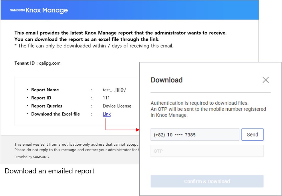 An emailed report and the download prompt.